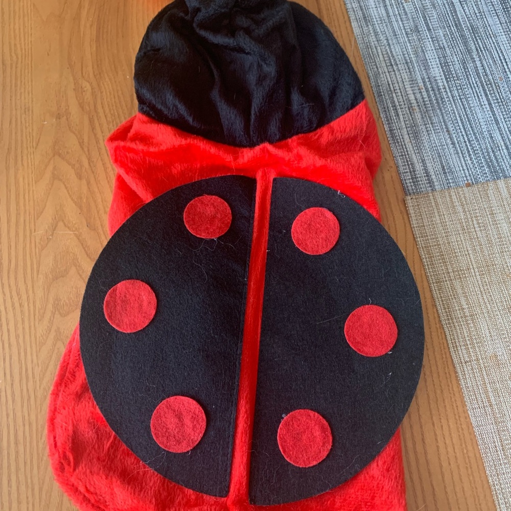 Pet Ladybug Costume - Red and Black